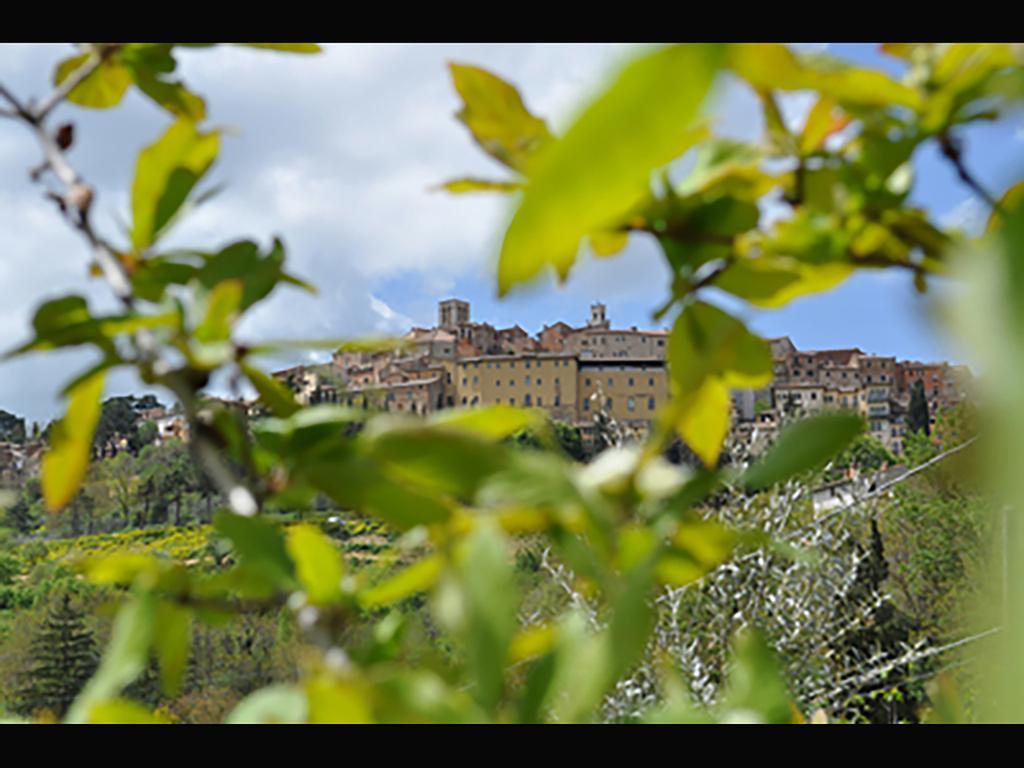 Montepulciano Stazione La Casina Toscana מראה חיצוני תמונה